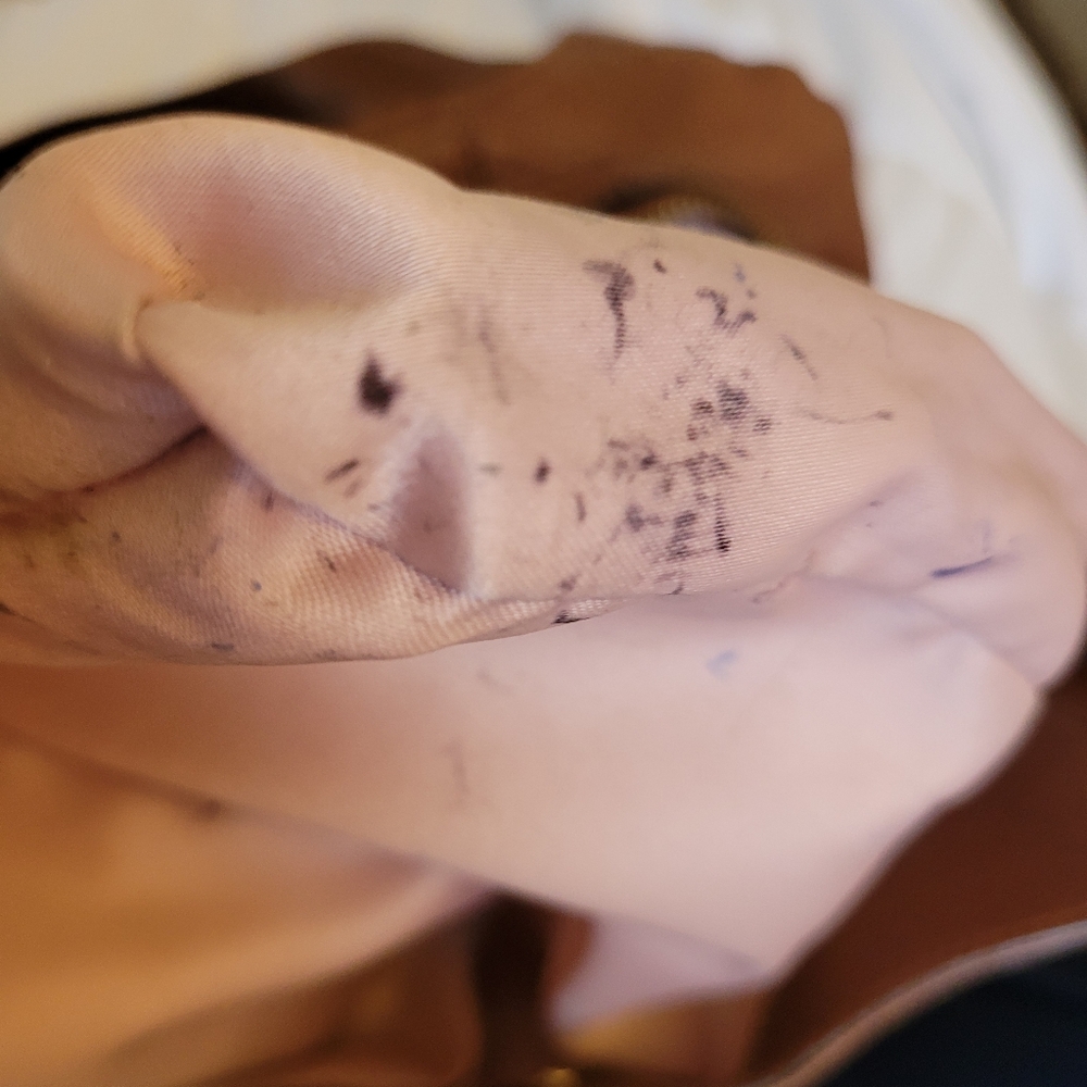 Coach bag - Picture 13 of 16